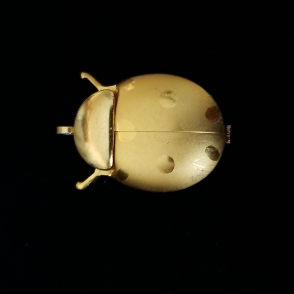 LUCERNE LADYBUG WATCH PENDANT - Picture 4 of 5